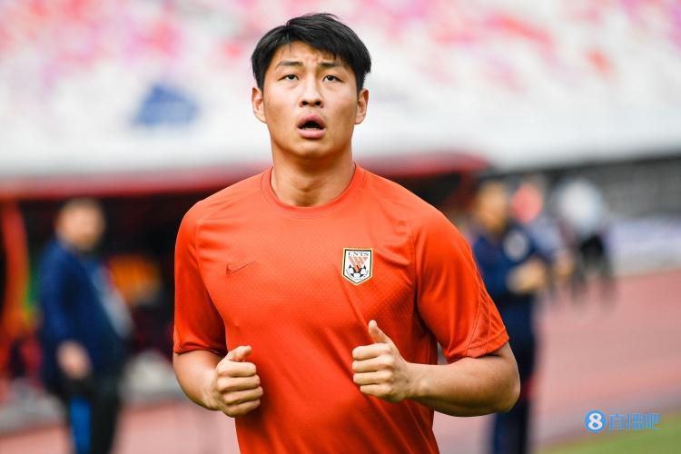 国内精品久久久久久久久野战