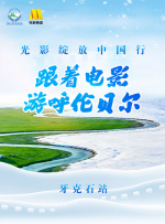 音乐老师的兔子可爱视频大全