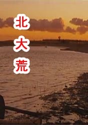 放荡青春在线播放