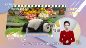 国产高清在线视频