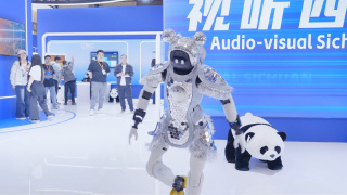 国内外成人在线视频